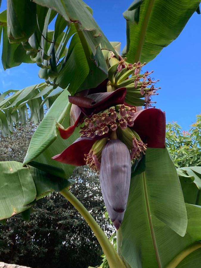Quinta Da Sobreira Bed & Breakfast Salir de Matos ภายนอก รูปภาพ